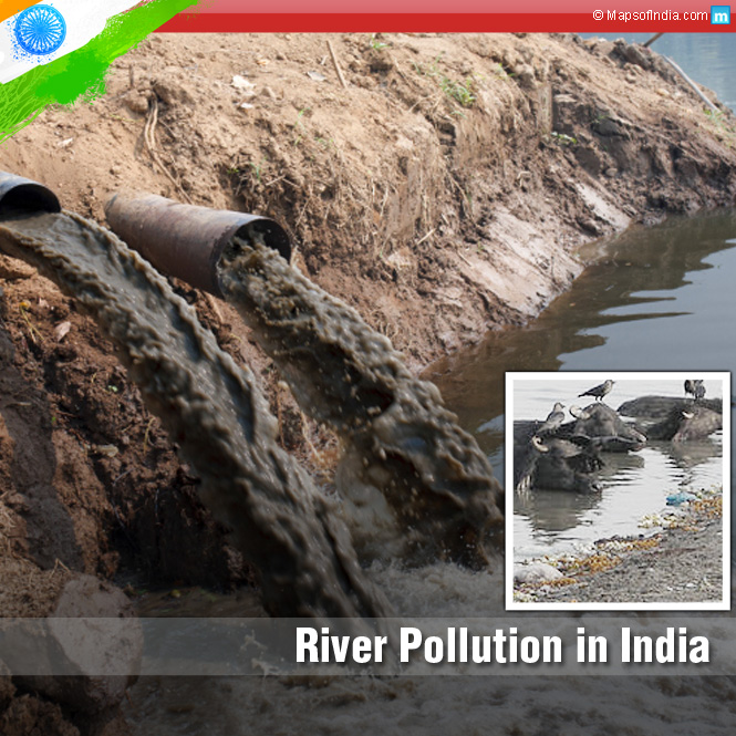 River Pollution in India