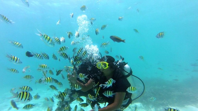 Scuba diving around Kadamat Island