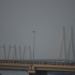 Standing-tall. The-sea-link