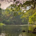 River-in-the-national-park