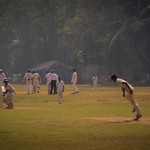 Cricket-in-action