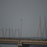 Bandra-Worli cable-stayed bridge