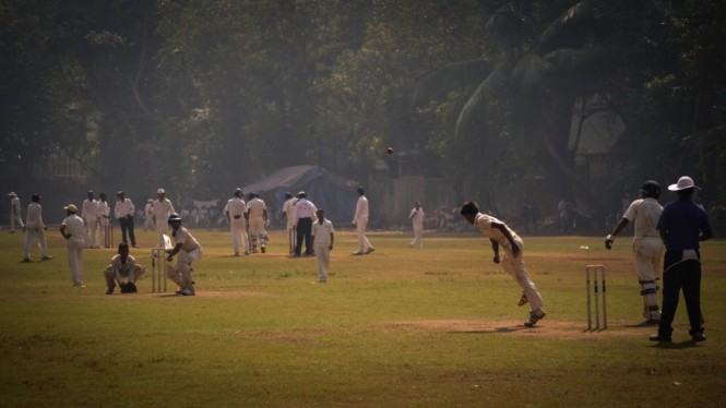 Cricket in action