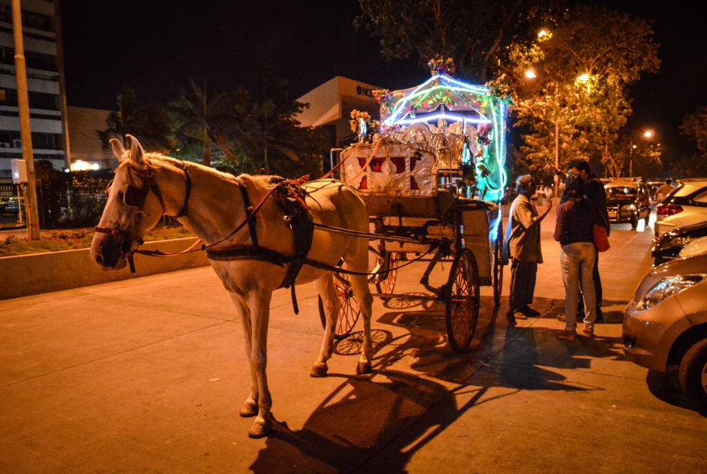 Horse Chariot