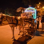 Horse Chariot