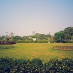 Hanging Garden