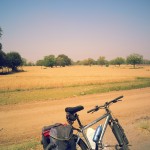 Fields on my way
