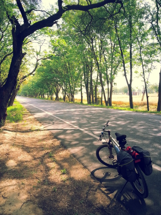 Riding in shade