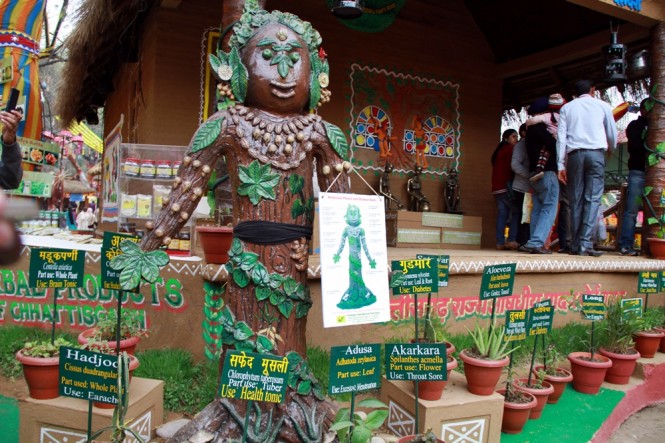 Surajkund Mela - Traditional trees & plants with medicinal information