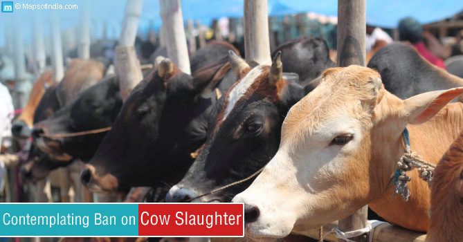 Ban on cow slaughter