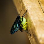 IMG_6200