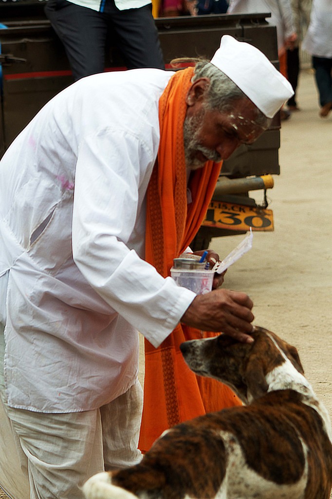 Every dog was getting tikka on head by this generous man saying you need identity too. 