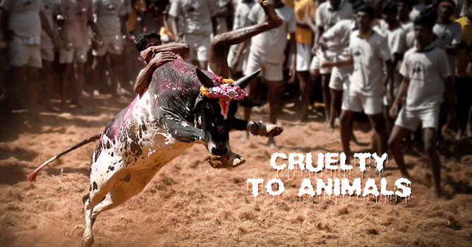 The Cow and Bull Story: A Throwback to our Traditions - Events The Cow and Bull Story: A Throwback to our Traditions - Events