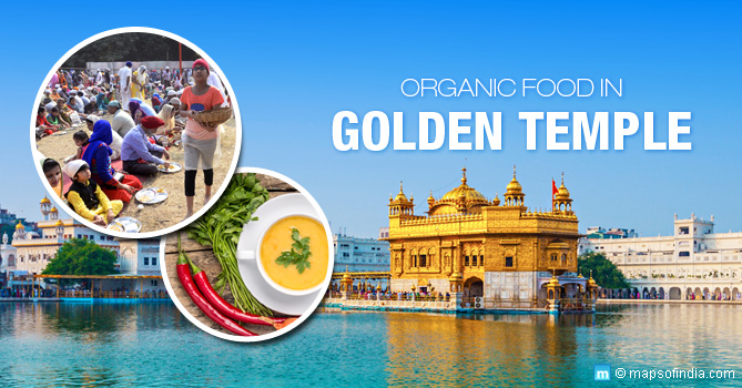 Organic Food In Golden Temple