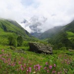 valley of flowers