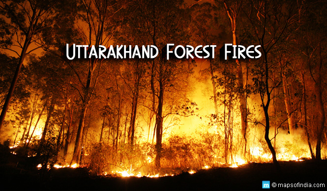 Uttarakhand Forest Fires