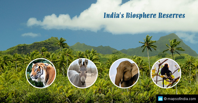 List of Biosphere Reserves in India with Detail Information - India