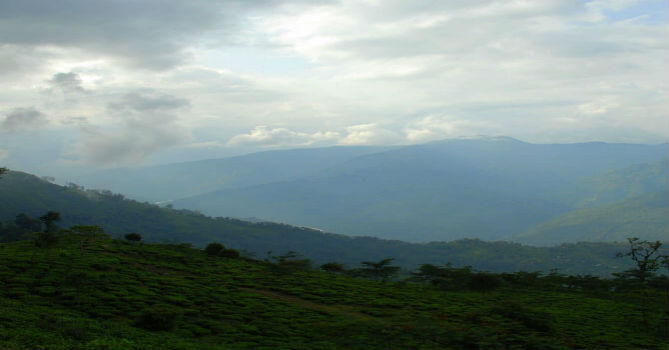 Darjeeling Monsoon Destination