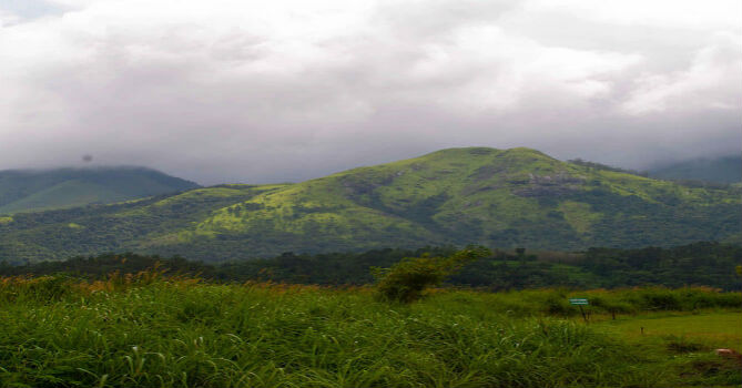 Vagamon Monsoon Destination