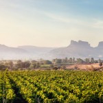 Nashik Wine City