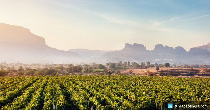 Nashik the Wine Capital of India