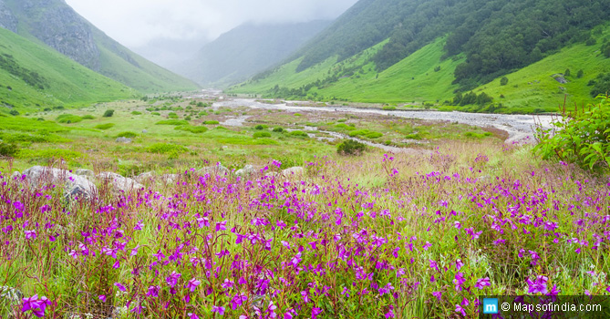 Valley of Flowers in Uttarakhand