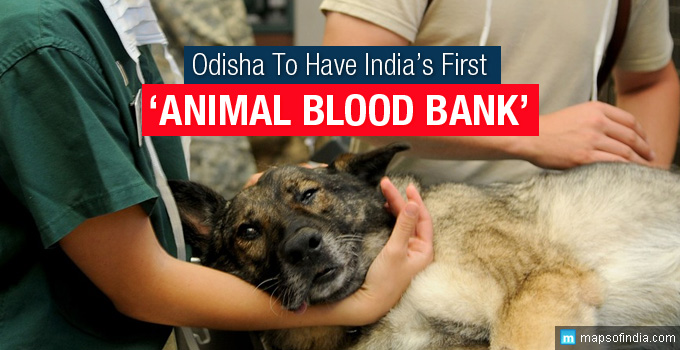 First 'Animal Blood Bank' of India in Odisha - Government
