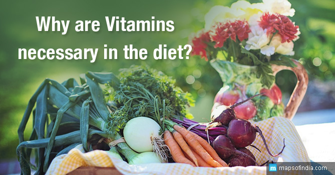 why-are-vitamins-necessary-in-the-diet