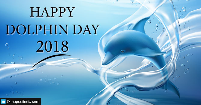 Dolphin Day