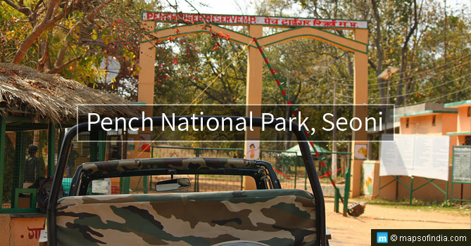Travel to Pench National Park