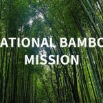 National-Bamboo-Mission