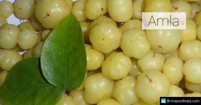 Amla