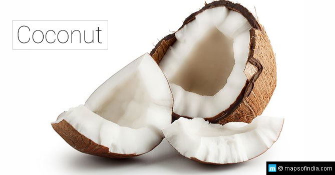 Coconut