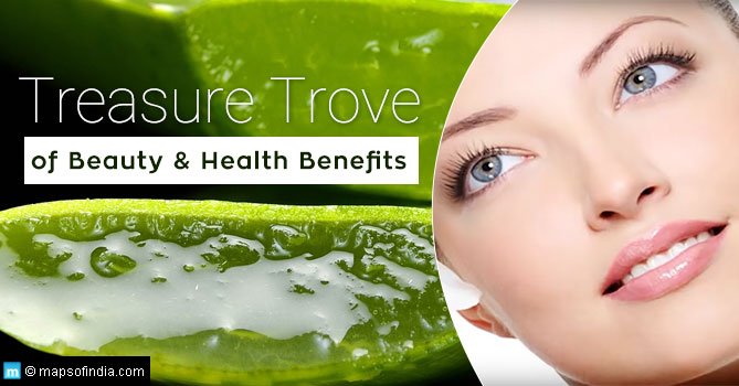 Aloe Vera Benefits for Skincare, Haircare & Healthcare