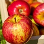 Want-to-Build-Lean-Muscles-Know-What-Foods-to-Eat-6