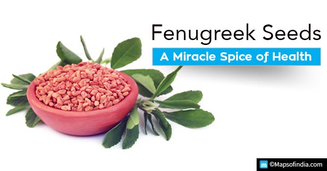 Fenugreek Seeds a miracle spice of health