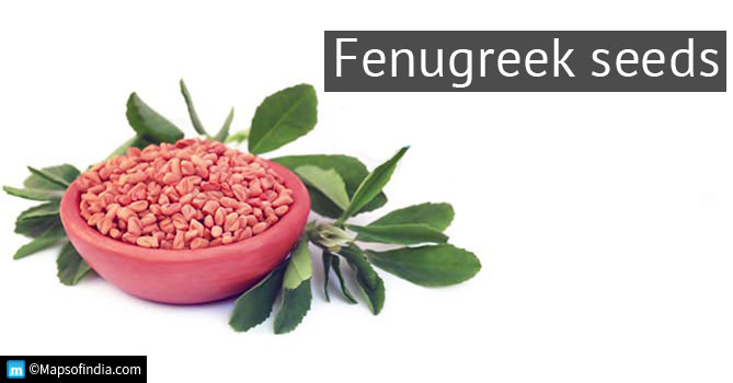 Fenugreek seeds