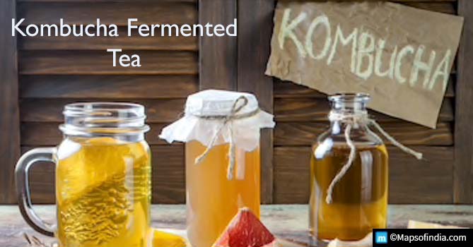 Kombucha Fermented Tea for-good-health