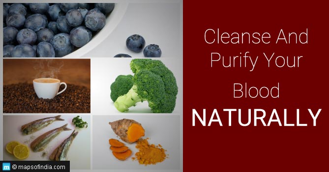Natural blood purifiers