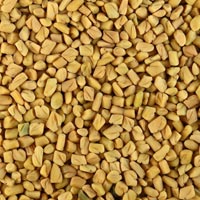 Fenugreek Seeds