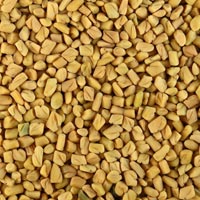 Fenugreek Seeds