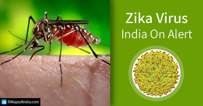 Zika Virus – Causes, Symptoms, Detection, Effects and Prevention