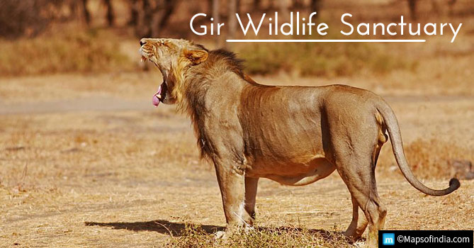 Gir Wildlife Sanctuary
