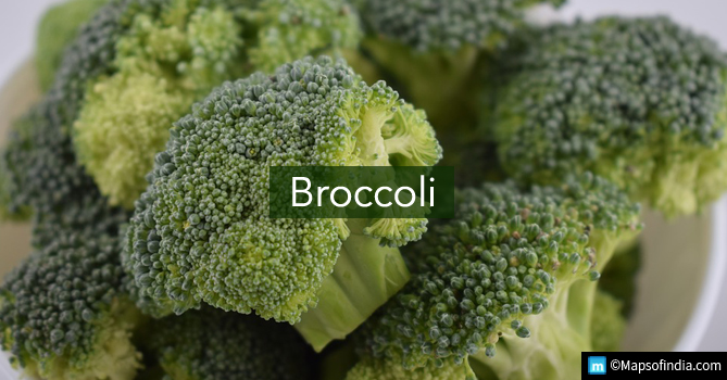 Broccoli - Green Vegetable