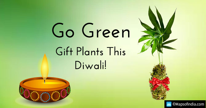 Indoor Plants which can be Gifted This Diwali