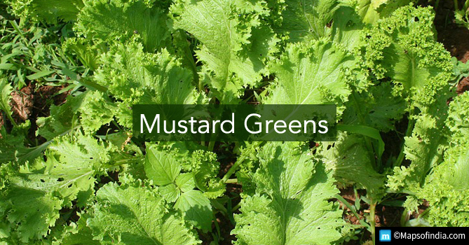 Mustard Greens - Green vegetable