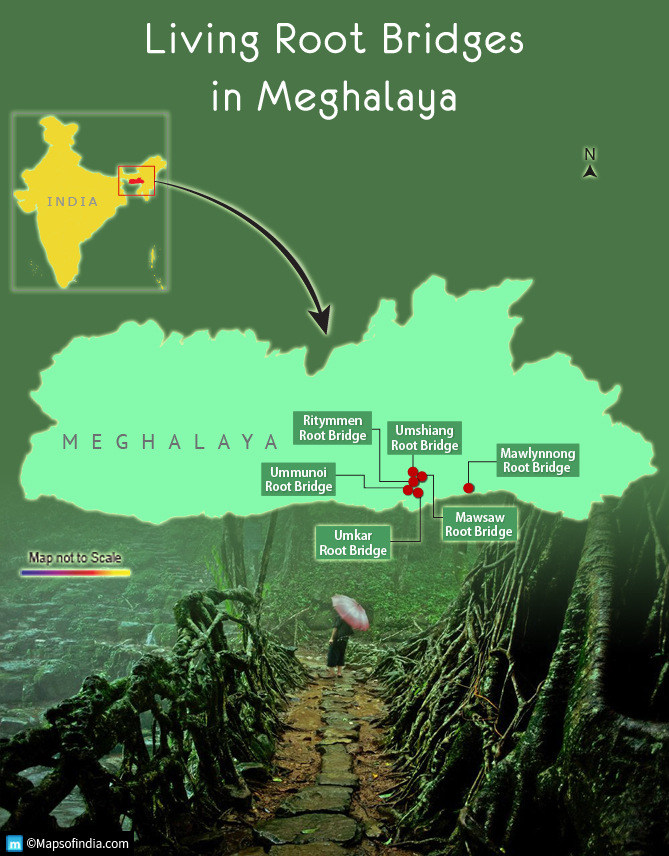 Location Map of Living Root Bridges