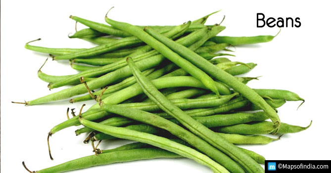 Beans Beans
