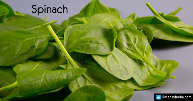 Spinach Spinach