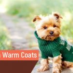 Buy Pets Warm Coats